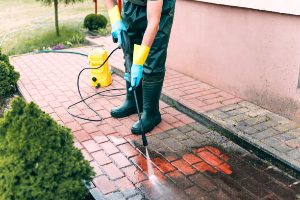 Best Pool Deck Cleaning  in Romney, WV
