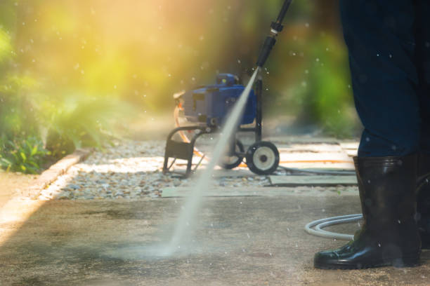 Best Dumpster Area Cleaning  in Romney, WV